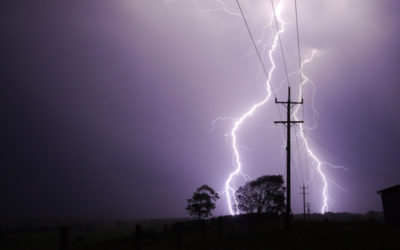 Protecting Overhead Lines: Why Transient Faults Matter and How to Minimize Them