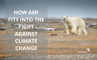 How AMI Fits into the Fight Against Climate Change