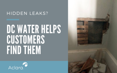 Hidden Leaks? DC Water Helps Customers Find Them