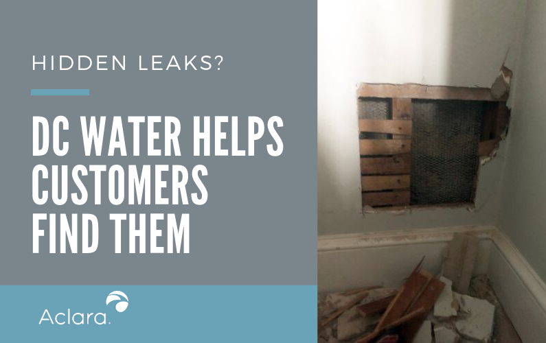 Hidden Leaks? DC Water Helps Customers Find Them