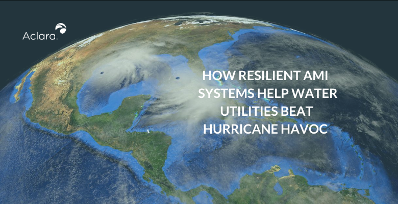 AMI resilience in hurricanes