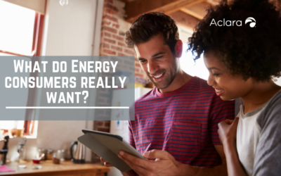 What Do Energy Consumers Really Want?