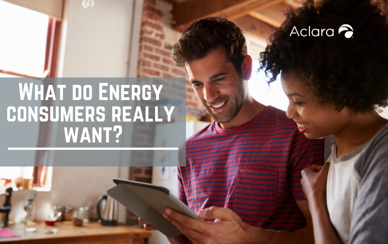 What Do Energy Consumers Really Want?